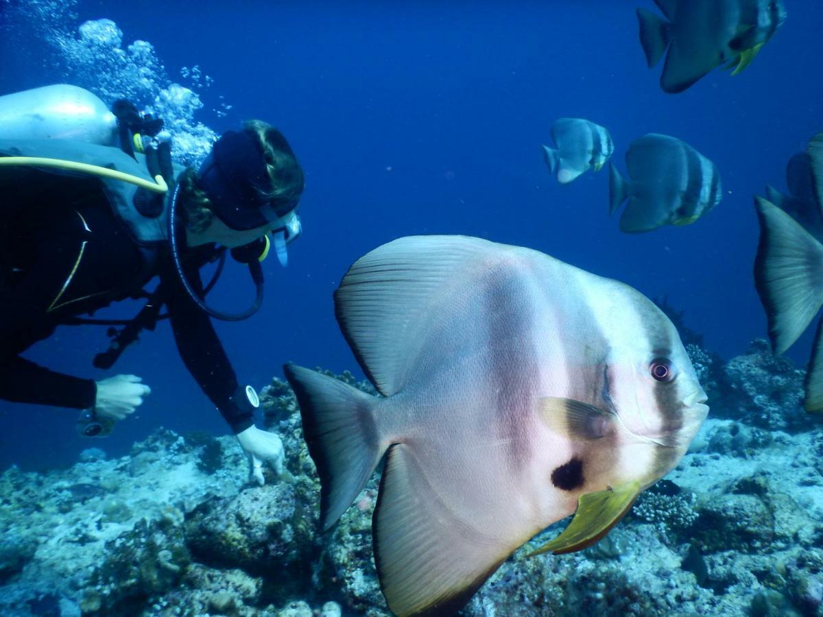 Ithaa Dhigurah Maldives Digura Kültér fotó