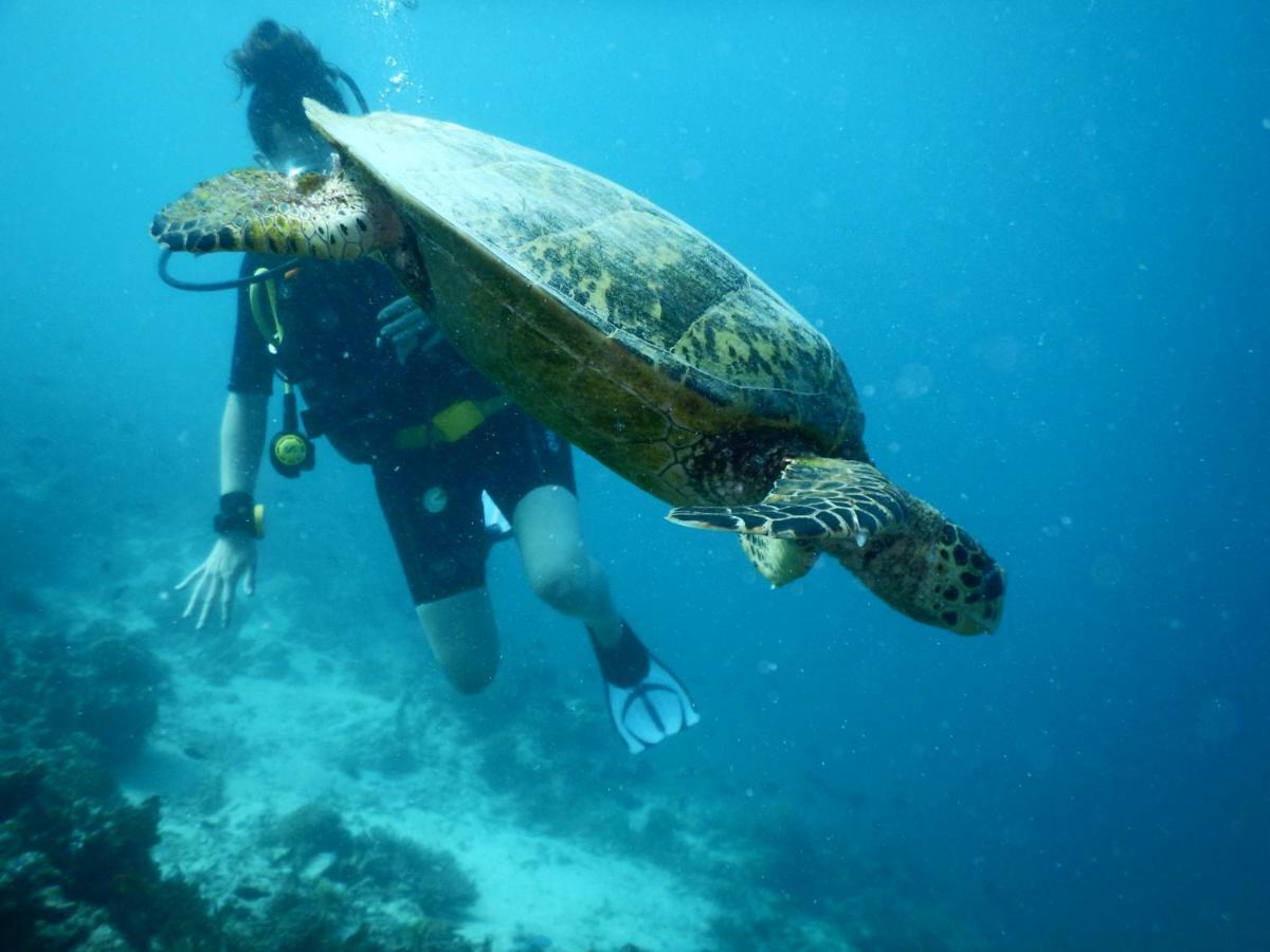 Ithaa Dhigurah Maldives Digura Kültér fotó